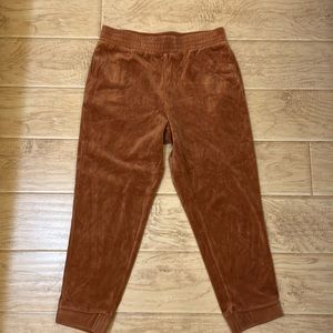 Wild Fable Rusted orange colored velour women’s joggers